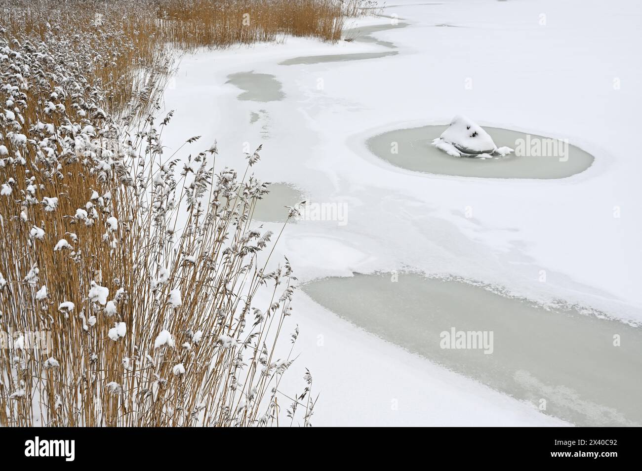 Wintersee, Stein unter Schnee und Schilf in Finnland Stockfoto