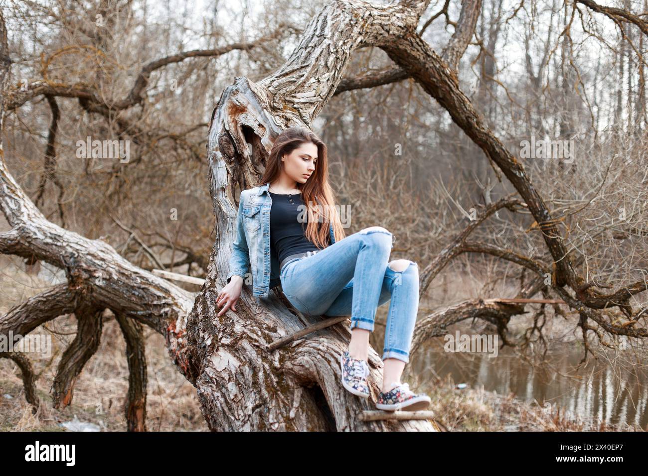 Schönes Mädchen in Jeansjacke und Denim-Shorts, das auf einem Baum sitzt. Entspannen Sie In Der Natur. Stockfoto