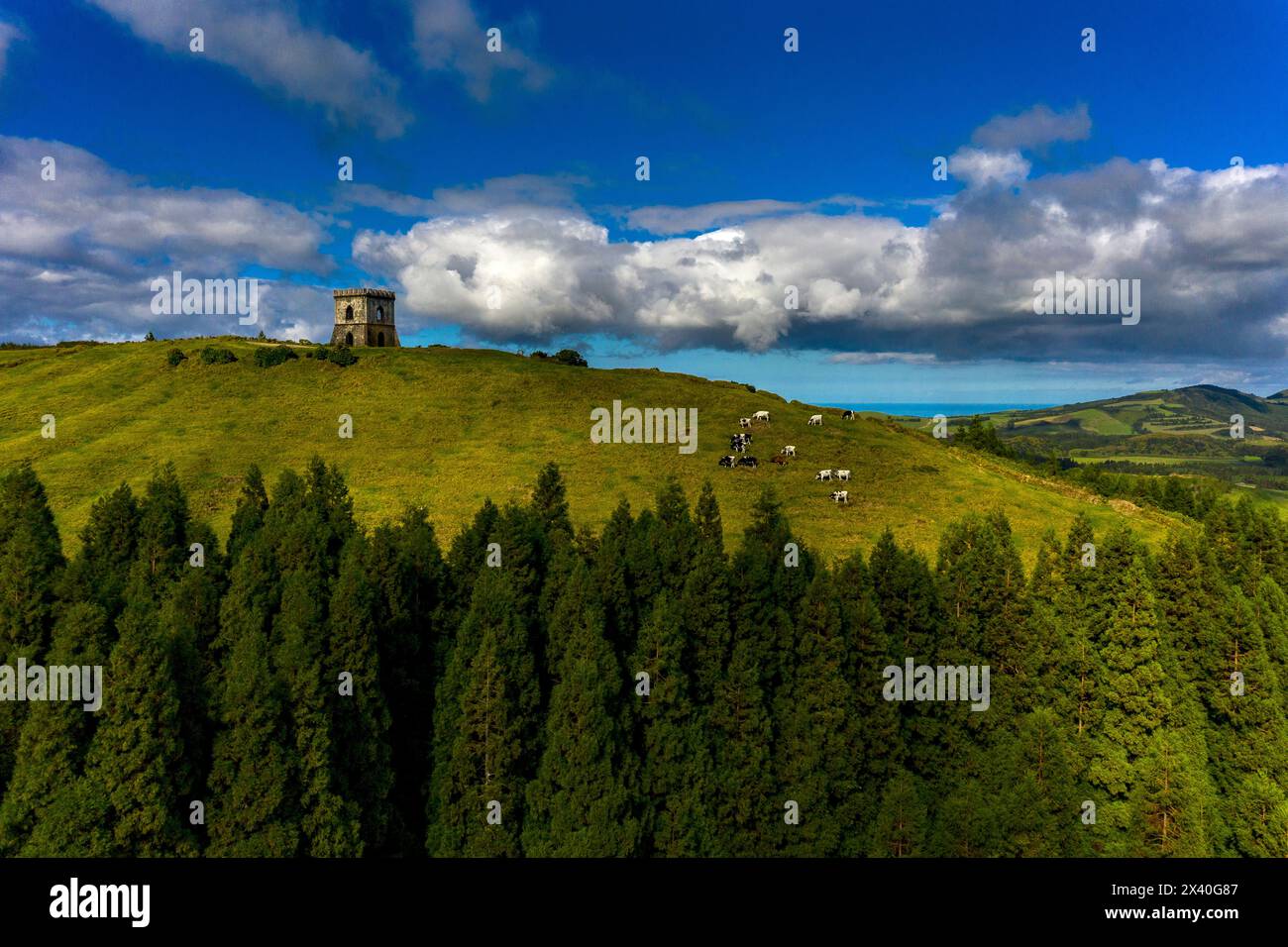 Sao Miguel Island, Azoren, Portugal. Castelo Branco Stockfoto