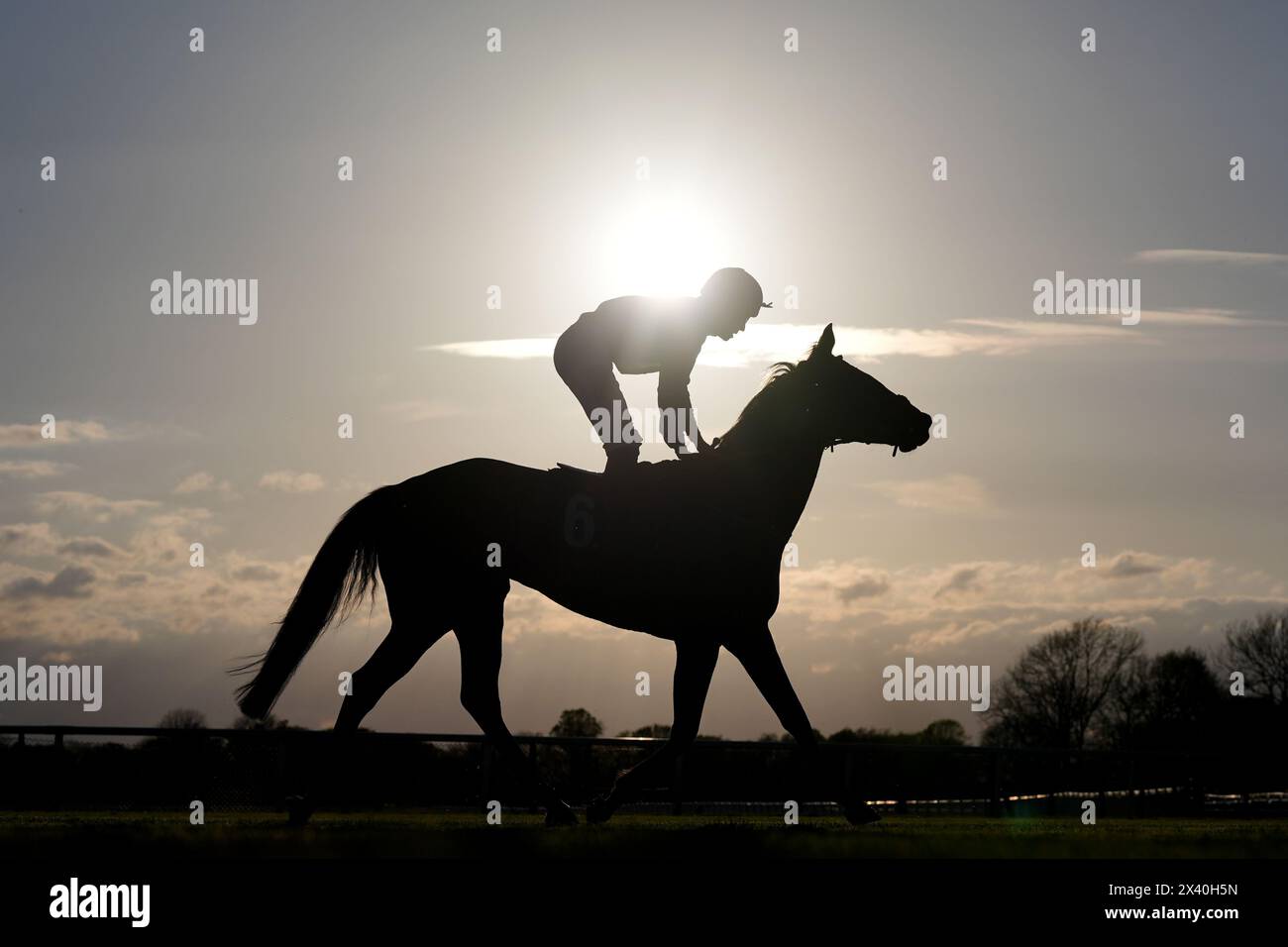 Eine Silhouette eines Pferdes während des Castle Hotel 'Steaks' Fillies' Handicap auf der Windsor Racecourse, Berkshire. Bilddatum: Montag, 29. April 2024. Stockfoto