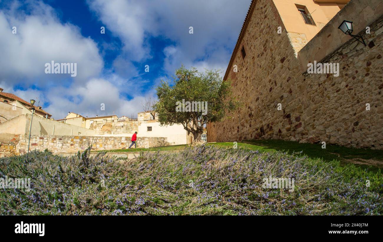 Mittelalterliche Steinstraßen in Zamora, Spanien Stockfoto