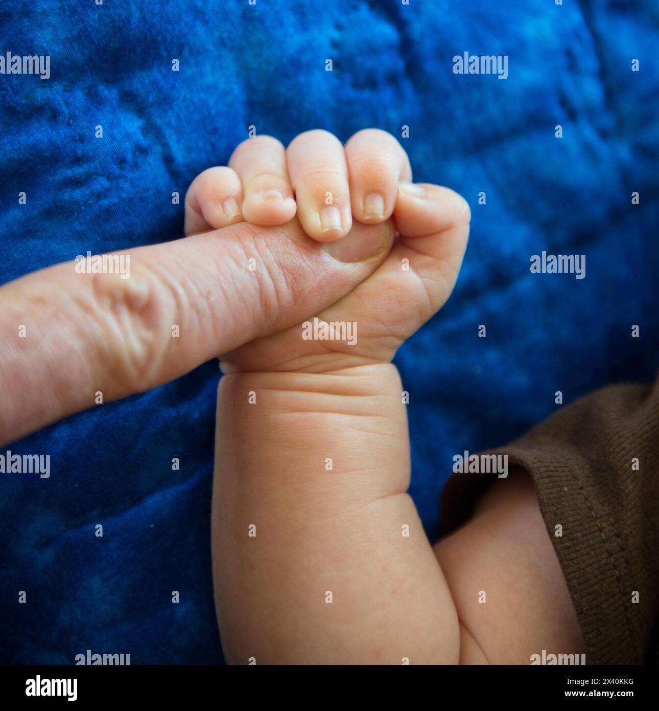 Baby, das den Finger eines Mannes packt; San Diego, Kalifornien, Vereinigte Staaten von Amerika Stockfoto