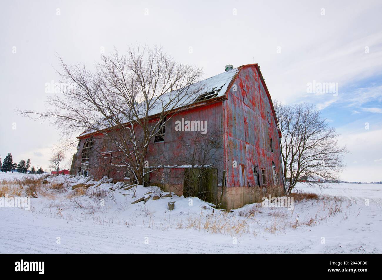 Verlassene rote Scheune im ländlichen Ontario, hier im Winter gesehen; Strathroy, Ontario, Kanada Stockfoto