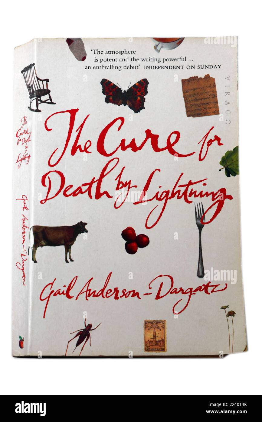Buchcover - The Cure for Death by Lightning von Gail Anderson-Dargatz. Studio-Einrichtung wurde 2024 aufgenommen Stockfoto