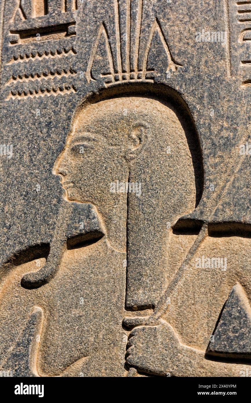 Hieroglyphen am Luxor-Tempel in Ägypten. Luxor Temple Egypt war das Haus von Amon-Ra, einem altägyptischen Diabetiker; Ägypten Stockfoto