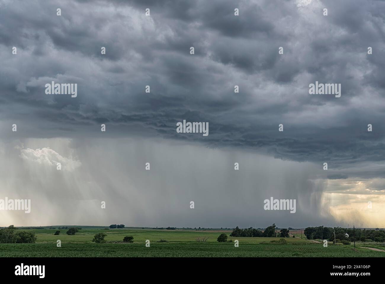 Starke Regenfälle, die von einem Superzellengewitter in den ländlichen Vereinigten Staaten stammen; McCook, Nebraska, Vereinigte Staaten von Amerika Stockfoto