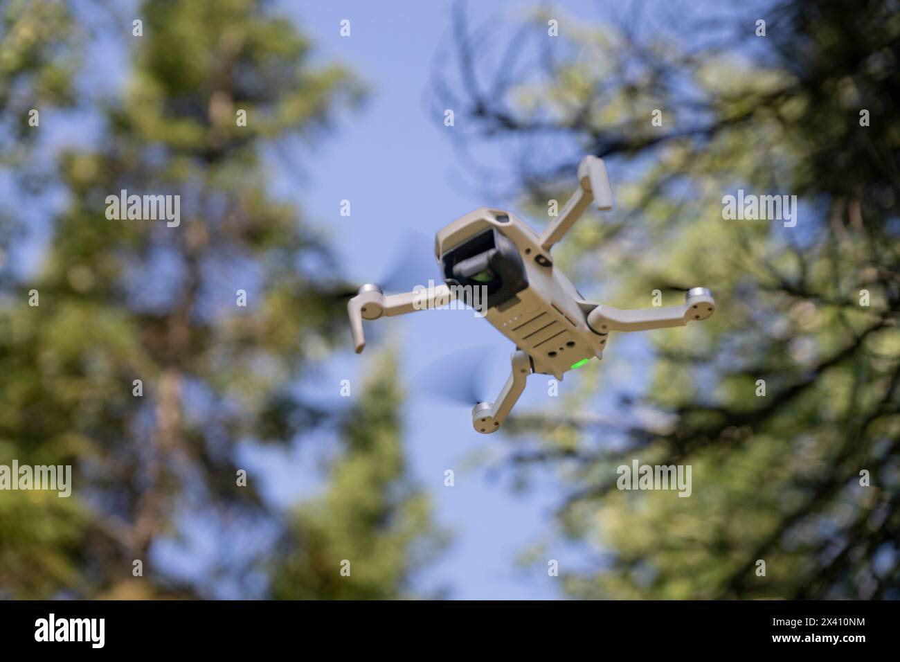 Die Drohne schwebt in der Luft unter Bäumen und blauem Himmel; Lake of the Woods, Ontario, Kanada Stockfoto