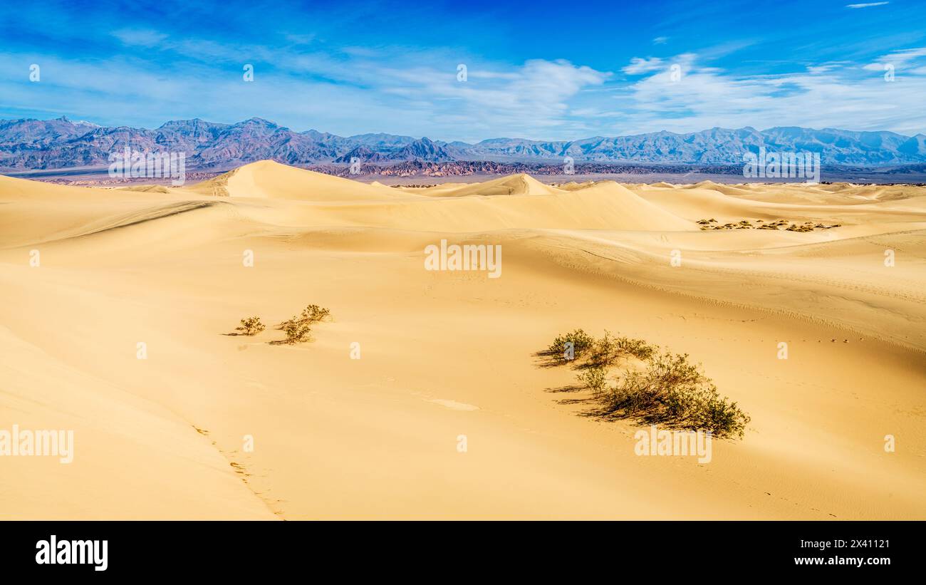 Malerischer Blick auf die Mesquite Flat Sand Dunes und die Berge dahinter im Death Valley National Park in Kalifornien Stockfoto