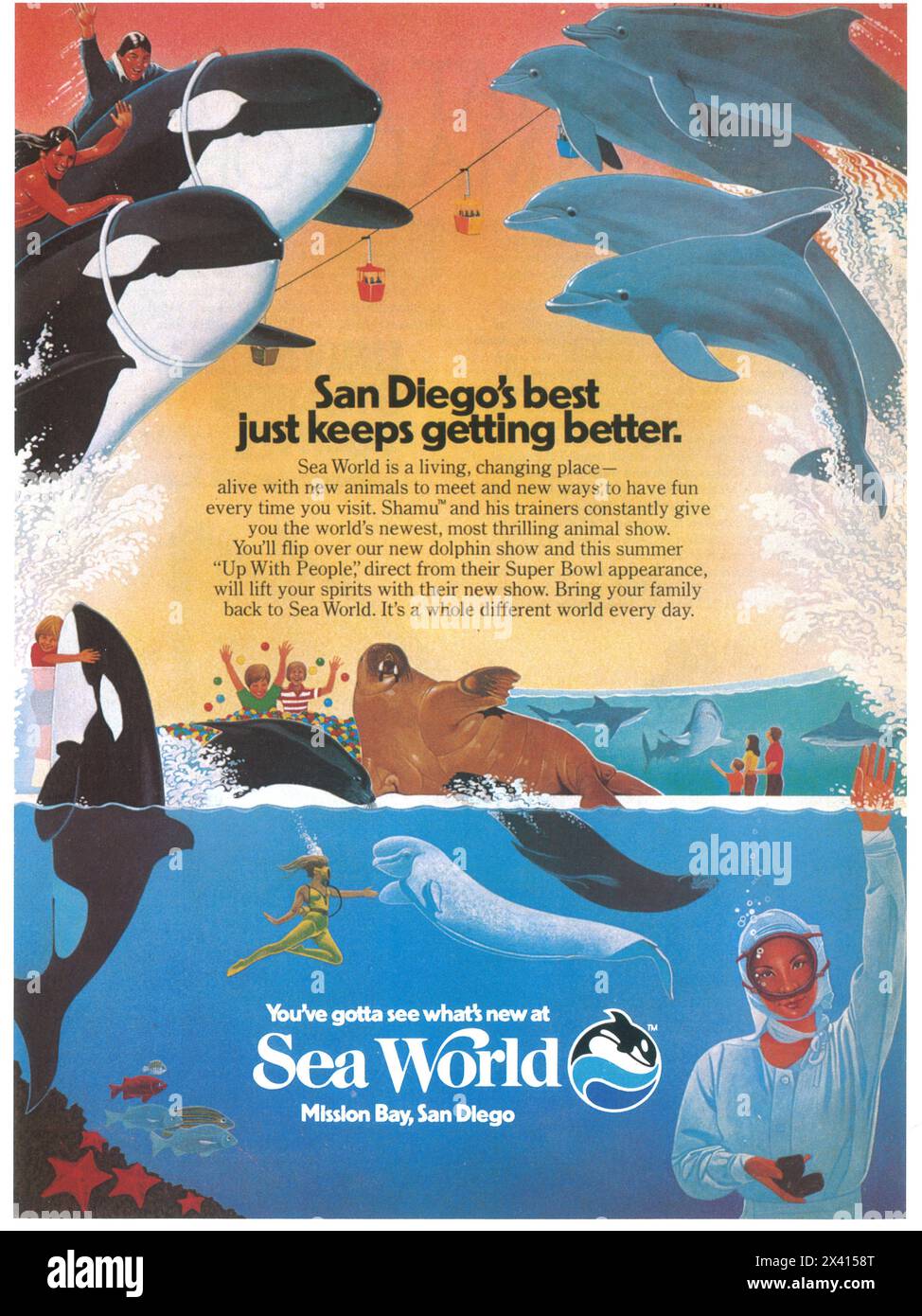 1982 Sea World Misson Bay, San Diego Werbespot Stockfoto
