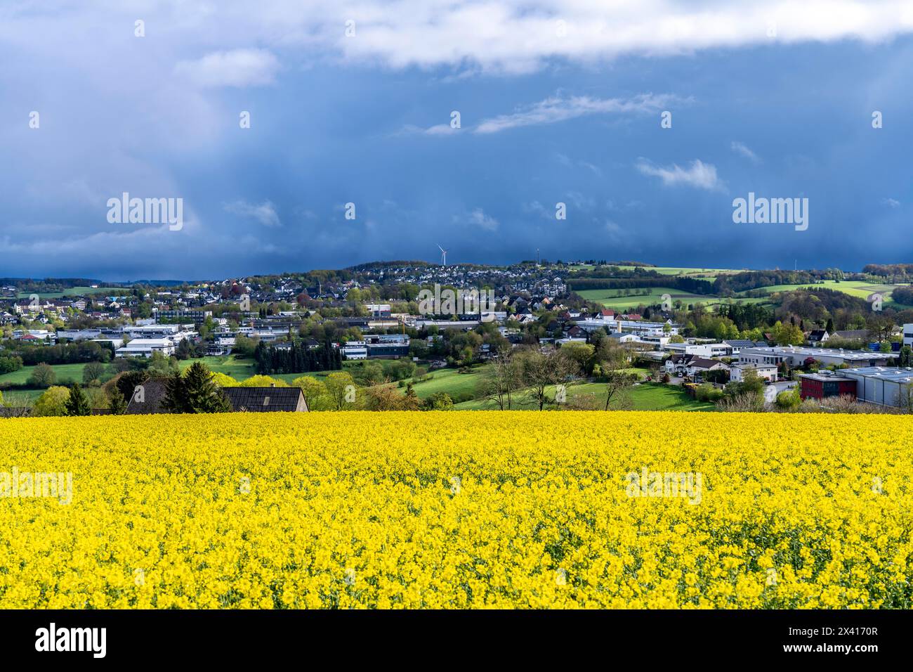 Blick über Breckerfeld, im Südosten des Ruhrgebiets, gehört zum Landkreis Ennepe-Ruhr, Rapsfeld, NRW, Deutschland, Stockfoto