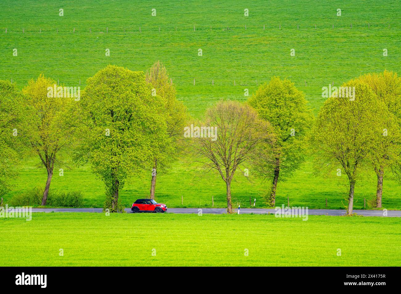 Auto auf einer Landstraße, grüne Felder, Wiesen, Bäume säumen die zweispurige Straße, Frühling, bei Schwelm, NRW, Deutschland, Stockfoto