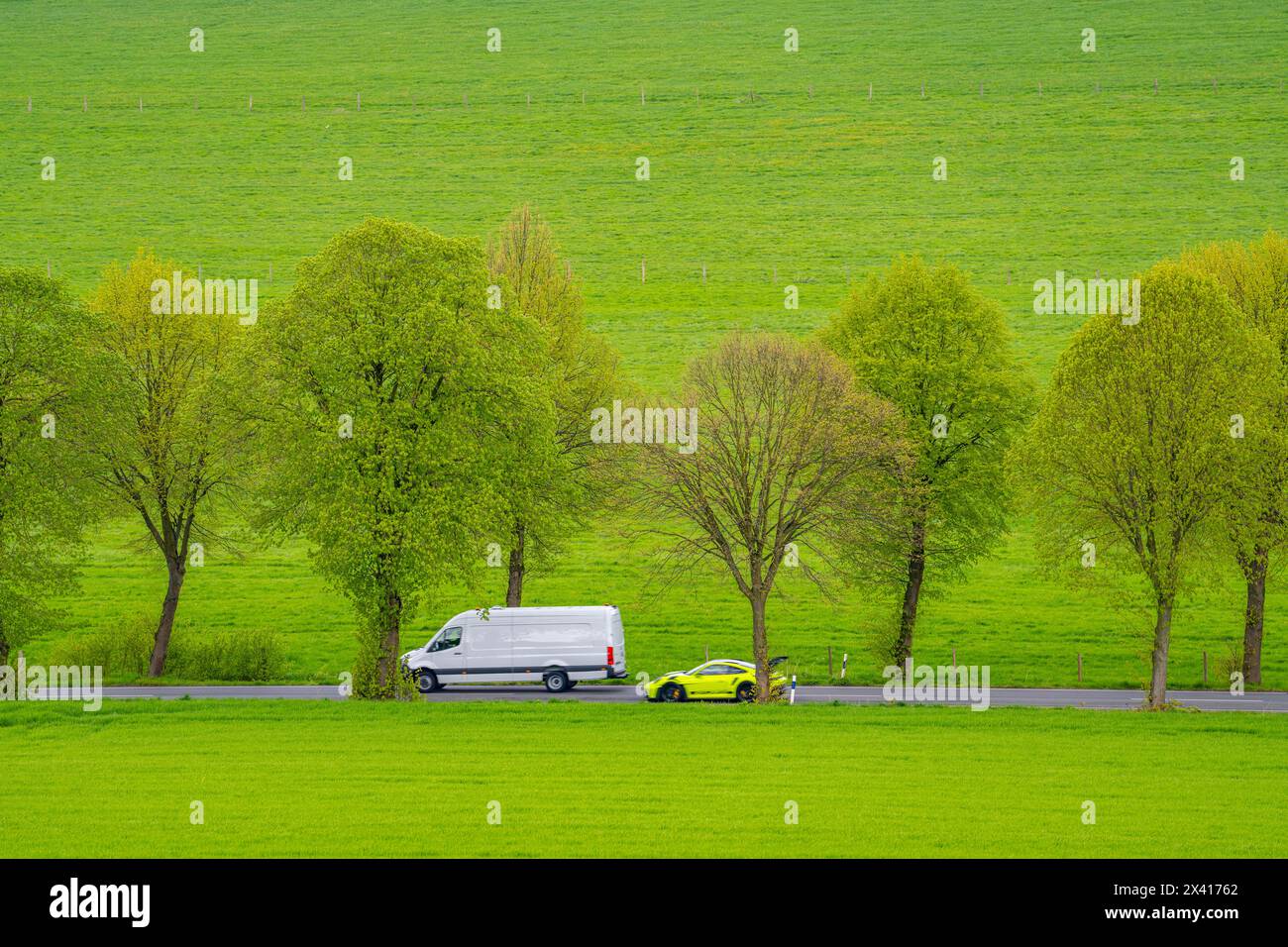 Auto auf einer Landstraße, Überholmanöver, grüne Felder, Wiesen, Bäume säumen die zweispurige Straße, Frühling, bei Schwelm, NRW, Deutschland, Stockfoto