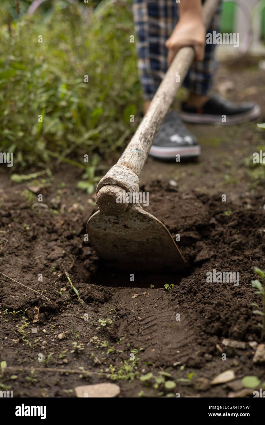 Details zu Hacke, Arbeitsgeräten für das Feld, Landwirtschaft und Umweltschutz, Szene Stockfoto