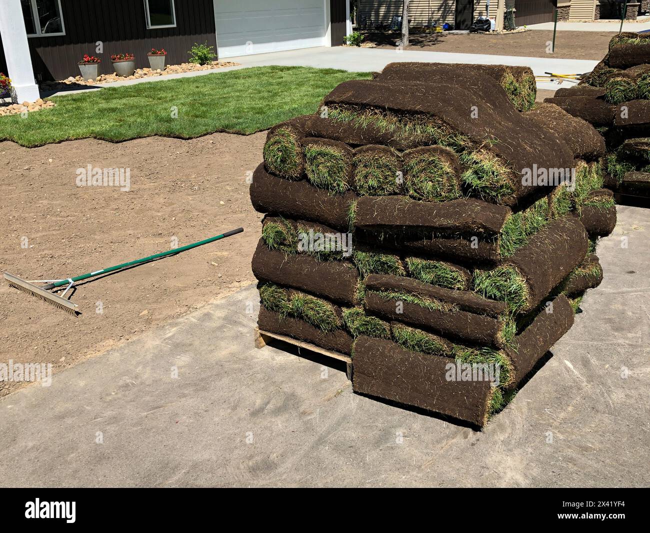 Rollen mit frischem Gras, die auf Holzpaletten für die Installation gestapelt werden, und beschnittene Stücke in einem neuen Zuhause. Einige Rollen wurden auf dem Hof im bac platziert Stockfoto
