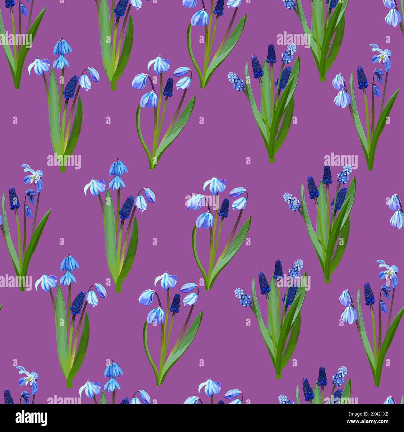 Nahtloses Muster aus Schneeglöckchen und Muscari auf rosa Hintergrund Stock Vektor
