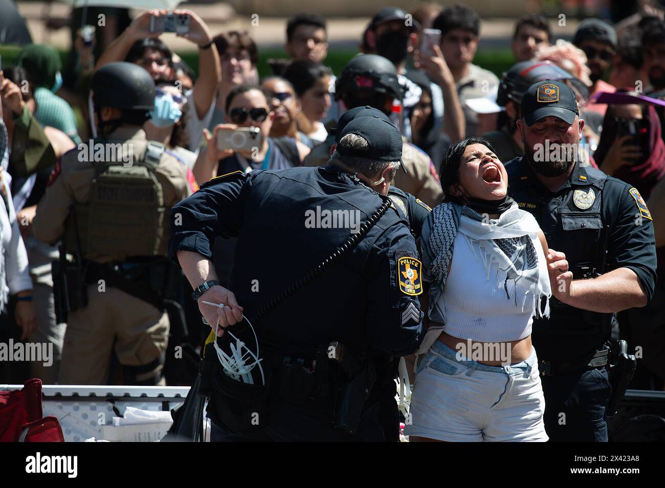 Texas, USA. April 2024. Die Polizei verhaftete einen Demonstranten in einem Lager an der University of Texas. Austin, Texas. Mario Cantu/CSM/Alamy Live News Stockfoto