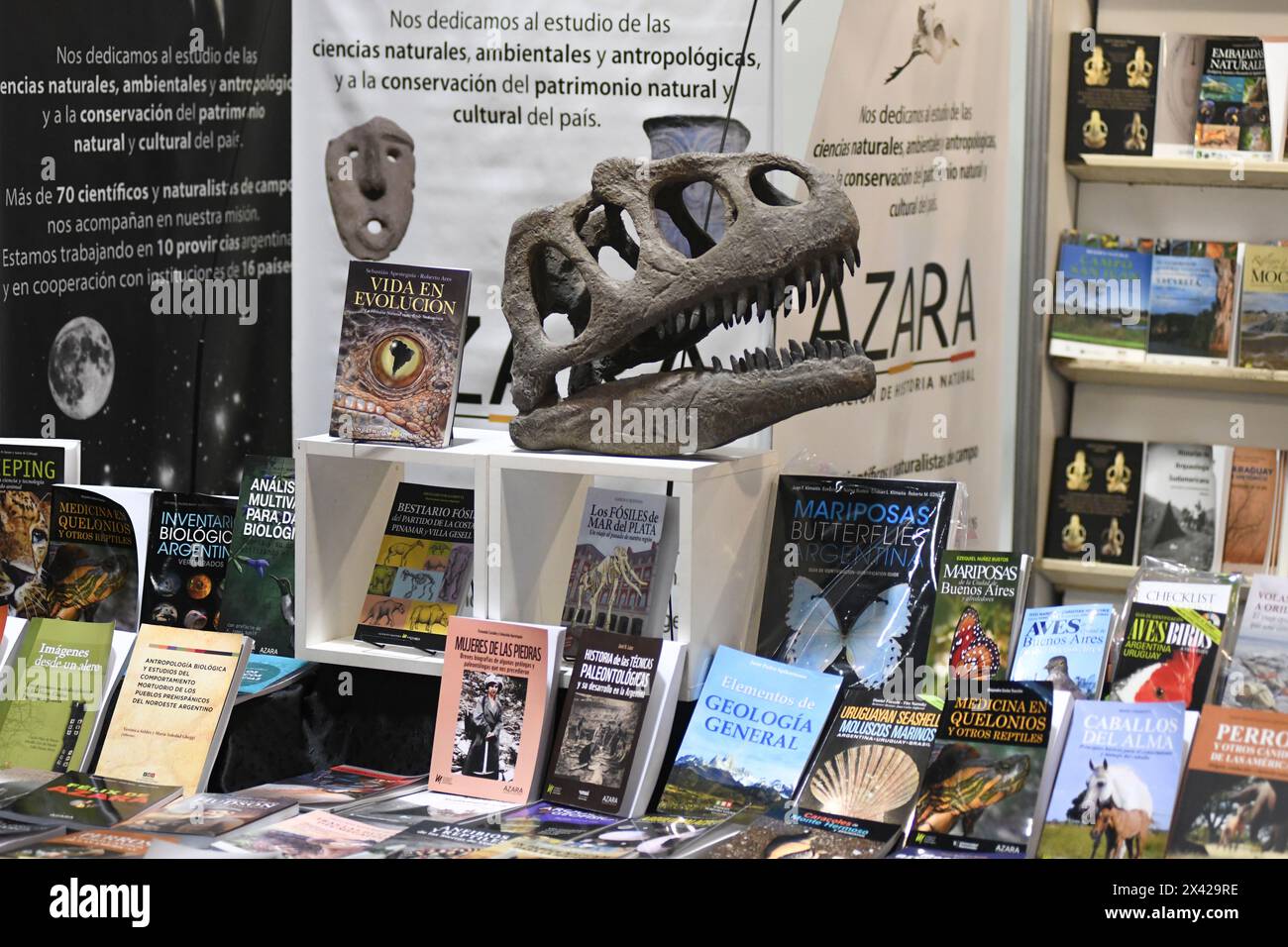 Archäologiebücher stehen mit einem Dinosaurierschädel. 48° Feria Internacional del Libro de Buenos Aires (48° Internationale Buchmesse von Buenos Aires). La Rural, Predio Ferial de Palermo. Argentinien Stockfoto