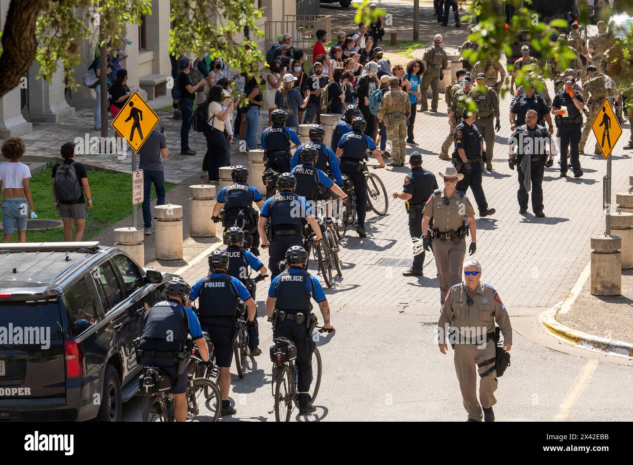 Austin, Texas, USA, 29. April 2024: Fahrradpolizisten greifen auf pro-palästinensische Demonstranten an der University of Texas in Austin ein. Der Campus wurde an einem dritten Tag in Folge von Demonstrationen erschüttert, als Dutzende Studenten und Unterstützer versuchten, eine Zeltstadt in der Nähe des Hauptverwaltungsgebäudes zu errichten. Texas State Truppe, Austin Polizei und UT Polizei haben Dutzende von Festnahmen gemacht. Quelle: Bob Daemmrich/Alamy Live News Stockfoto