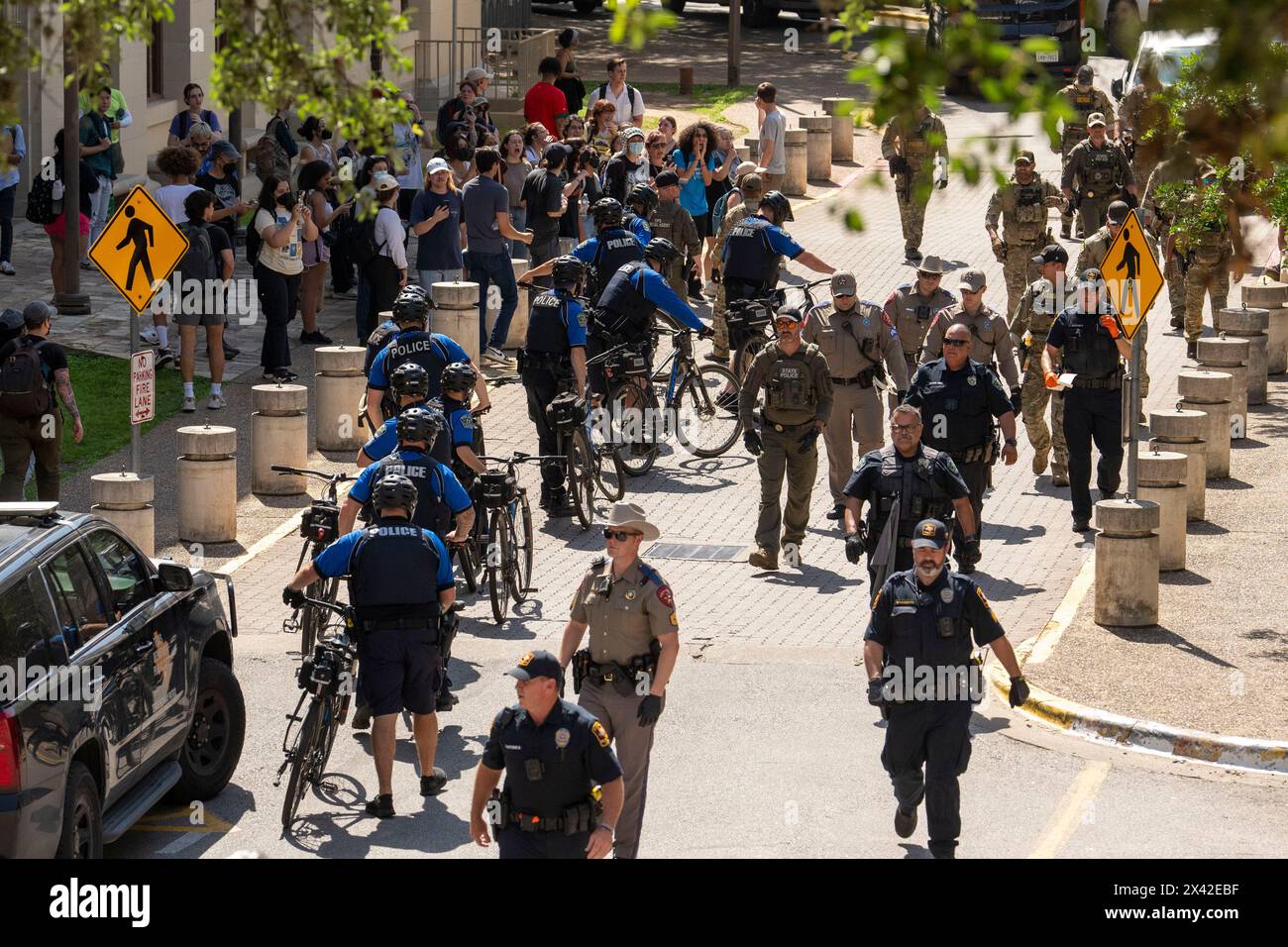 Austin, Texas, USA, 29. April 2024: Fahrradpolizisten greifen auf pro-palästinensische Demonstranten an der University of Texas in Austin ein. Der Campus wurde an einem dritten Tag in Folge von Demonstrationen erschüttert, als Dutzende Studenten und Unterstützer versuchten, eine Zeltstadt in der Nähe des Hauptverwaltungsgebäudes zu errichten. Texas State Truppe, Austin Polizei und UT Polizei haben Dutzende von Festnahmen gemacht. Quelle: Bob Daemmrich/Alamy Live News Stockfoto