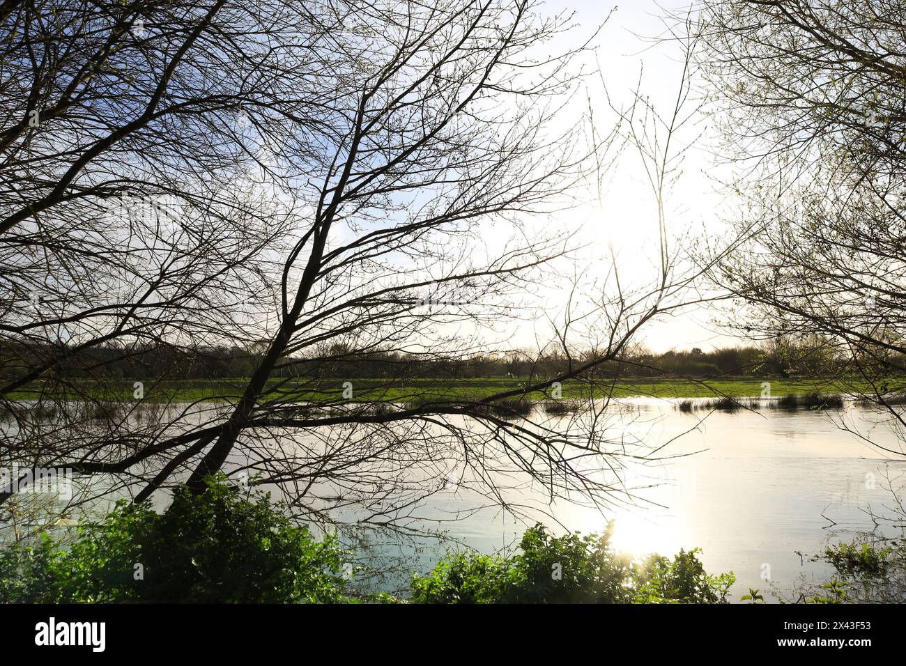 Der Fluss Avon platzt seine Ufer in Salisbury City, England Stockfoto