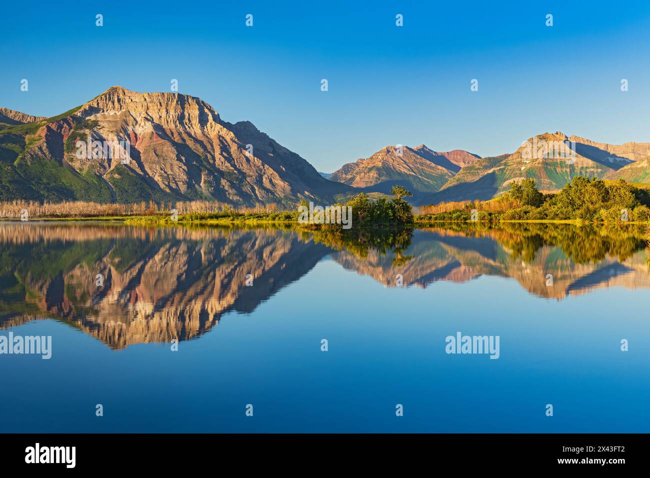 Kanada, Alberta, Waterton Lakes National Park. Die kanadischen Rocky Mountains spiegeln sich im Lower Waterton Lake. Stockfoto