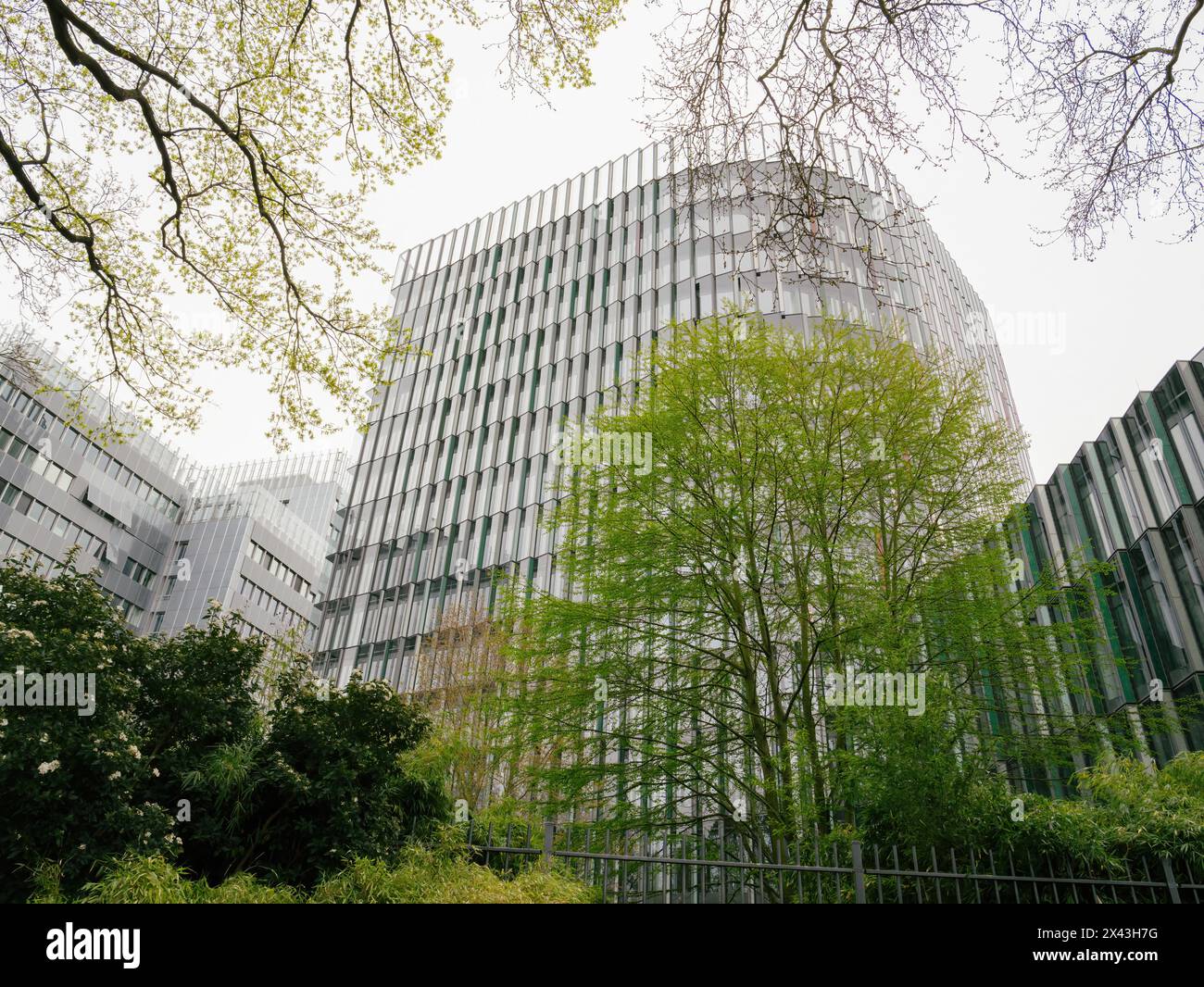Frühlingslaub steht vor den imposanten Glasfassaden städtischer Bürogebäude in einer Stadtlandschaft - Business-Architektur Stockfoto