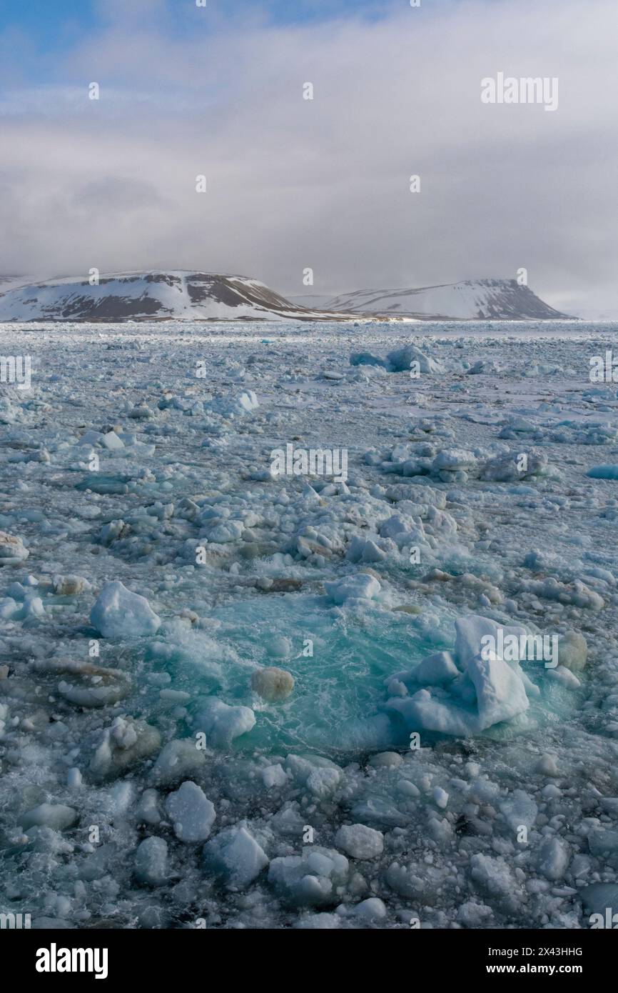 Meereis im Wahlenbergfjord. Nordaustlandet, Svalbard, Norwegen Stockfoto