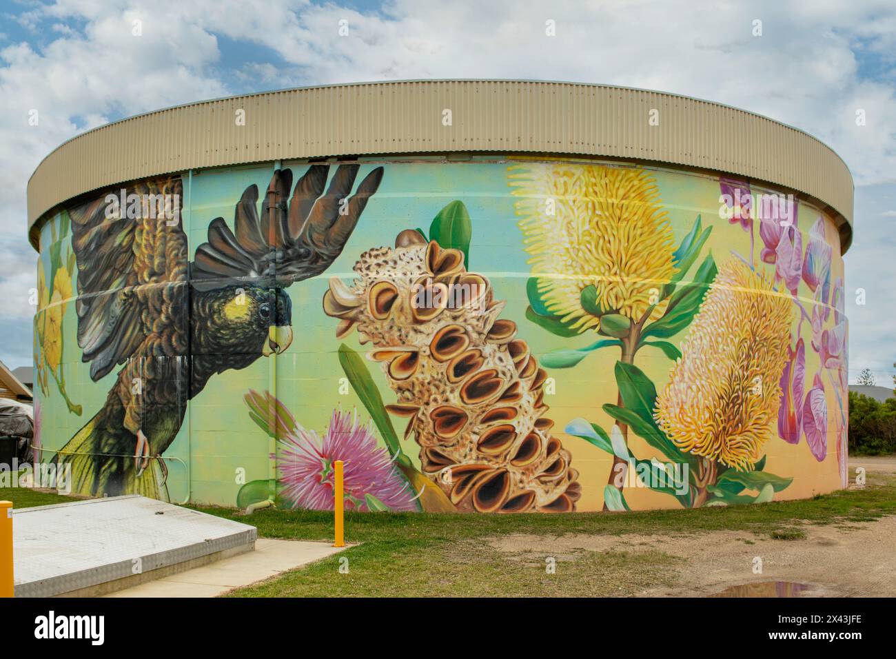 Water Tank Art von Amanda Newman, Bonny Hills, NSW, Australien Stockfoto