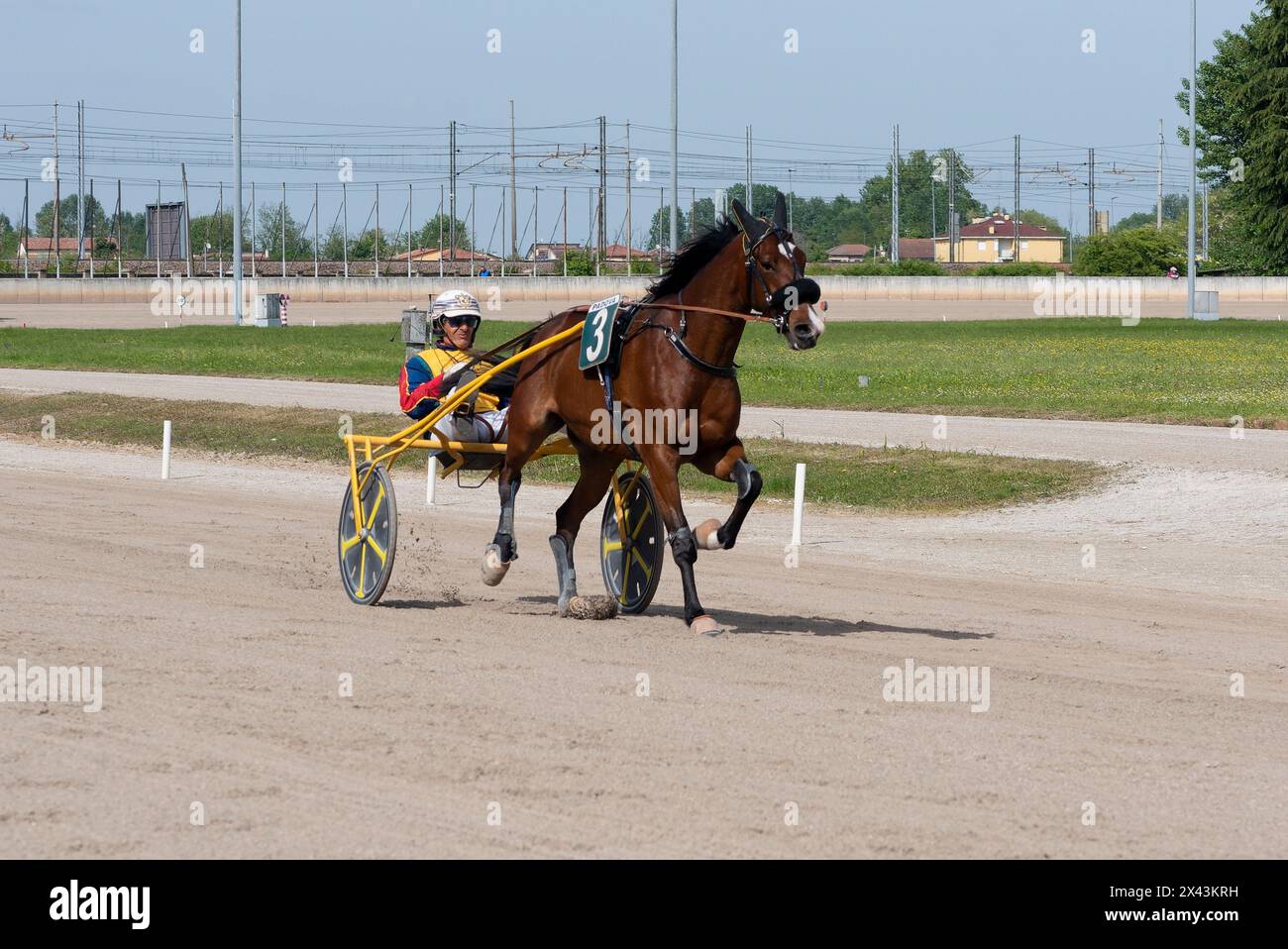 Trab-Rennpferd Nummer 3 mit Jockey auf einer Sandbahn auf der Rennbahn Le Padovanelle in Padua Italien Stockfoto