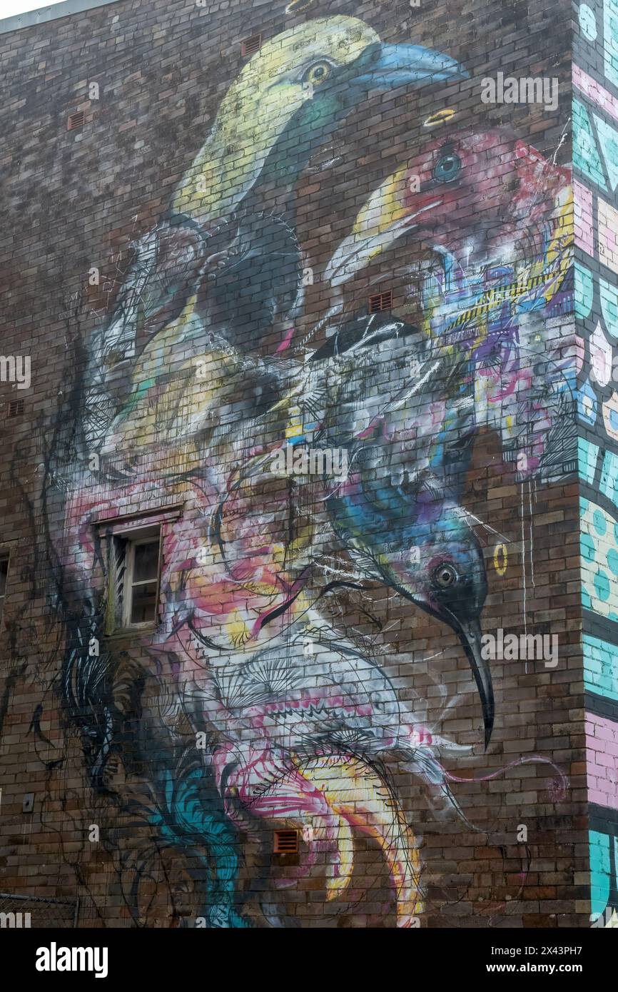 Street Art in Katoomba, NSW, Australien Stockfoto