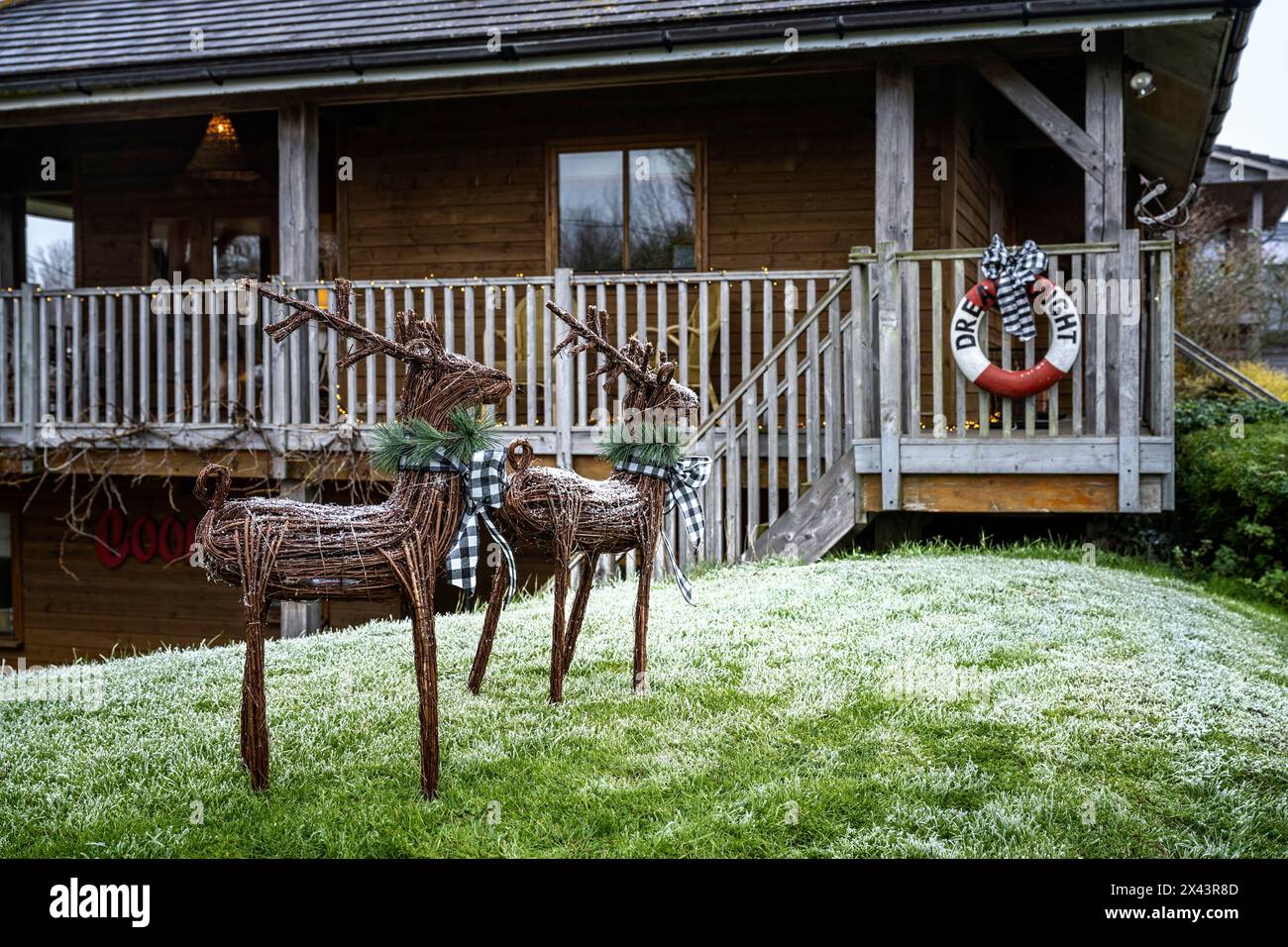 Rentierstatuen im Garten von East Sussex zu Weihnachten in Südostengland, Großbritannien. Stockfoto