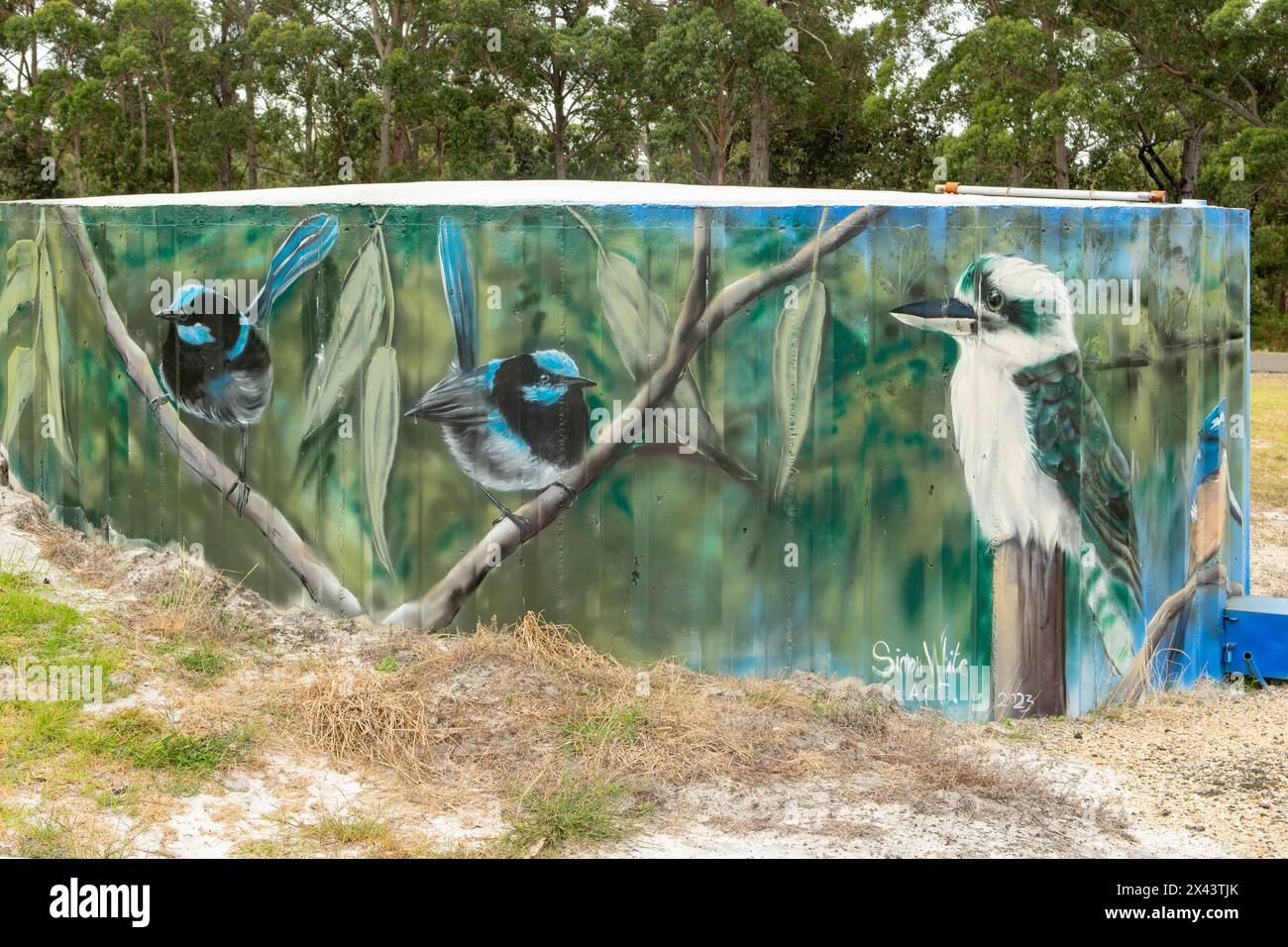 Einheimische Vögel Water Tank Art von Simon White, Bemm River, Victoria, Australien Stockfoto