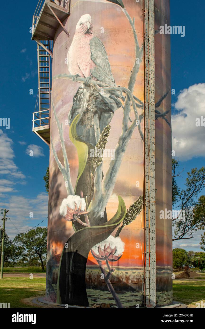 Water Tower Art by the Zookeeper and LEAN, Moura, Queensland, Australien Stockfoto