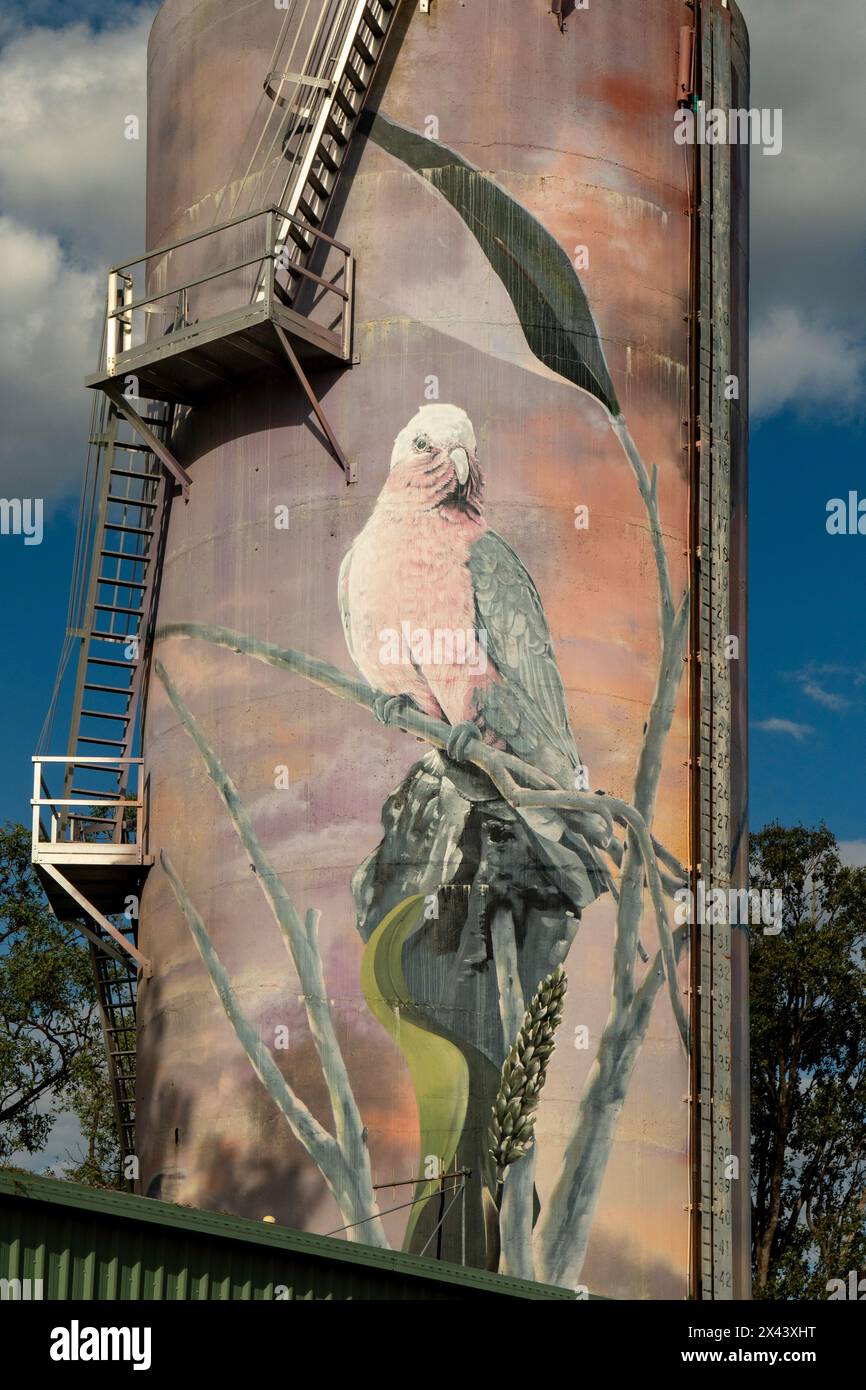 Water Tower Art by the Zookeeper and LEAN, Moura, Queensland, Australien Stockfoto