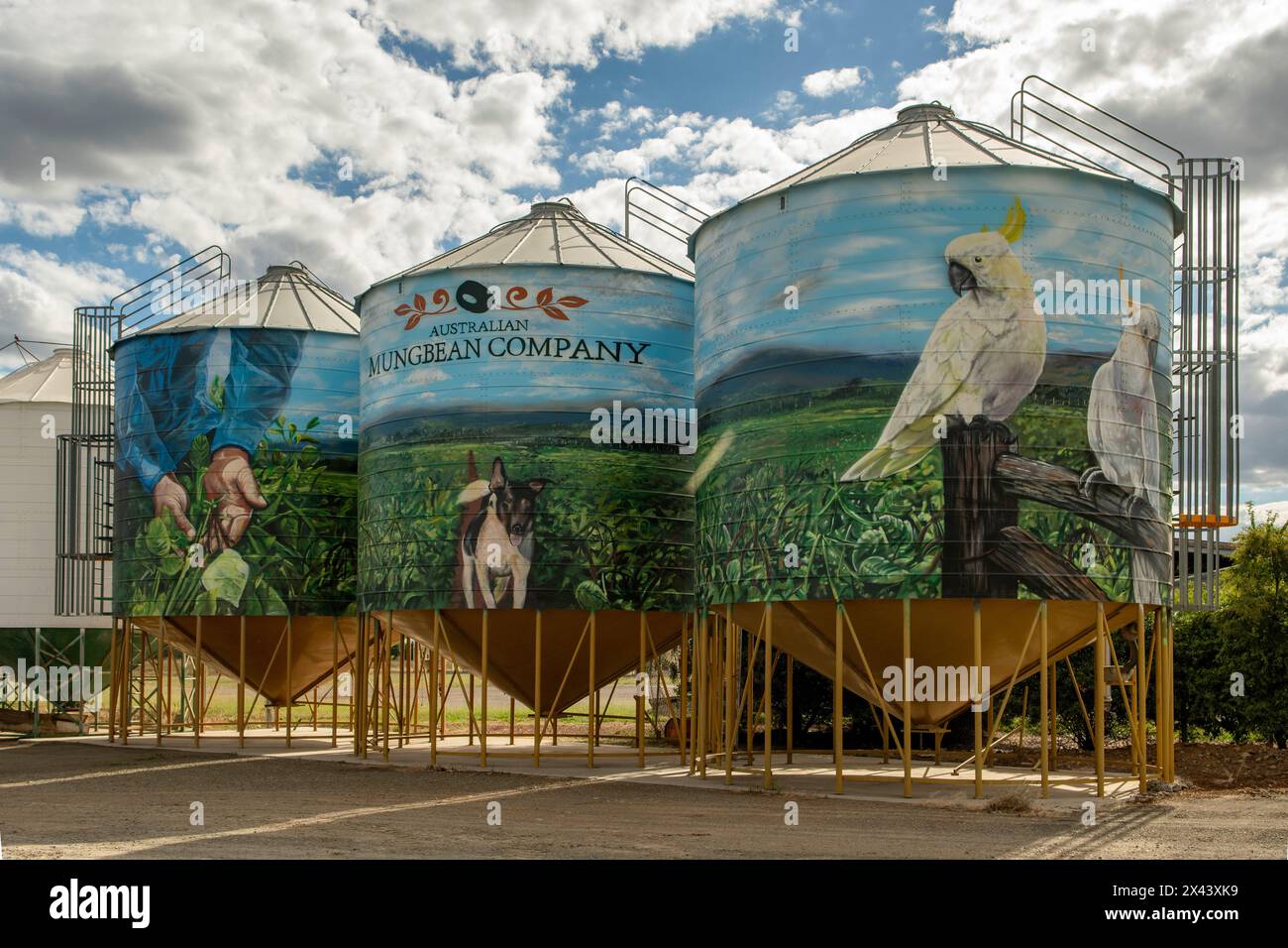 Silokunst von The Zookeeper und DRAPL, Biloela, Queensland, Australien Stockfoto