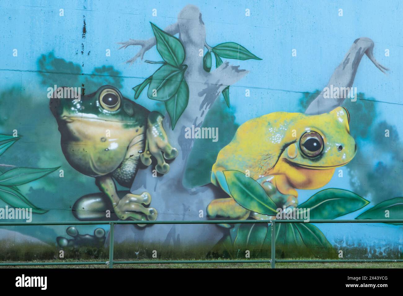 Water Tank Art von Phantast CMAA, Ferny Hills, Queensland, Australien Stockfoto