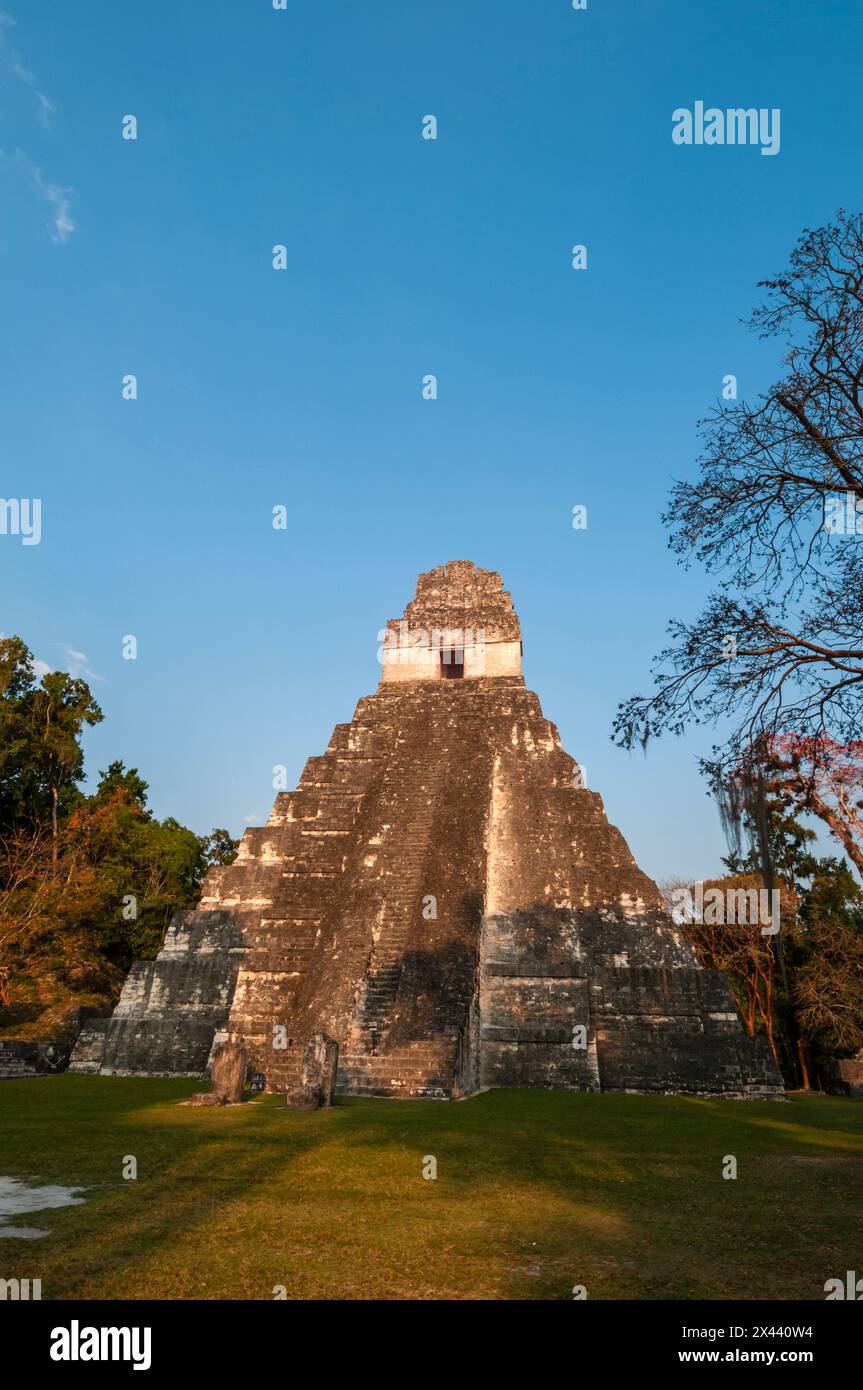 Ein Blick auf Tempel I, auch bekannt als Tempel des RiesenJaguar. Tikal-Nationalpark, El Peten, Guatemala. Stockfoto