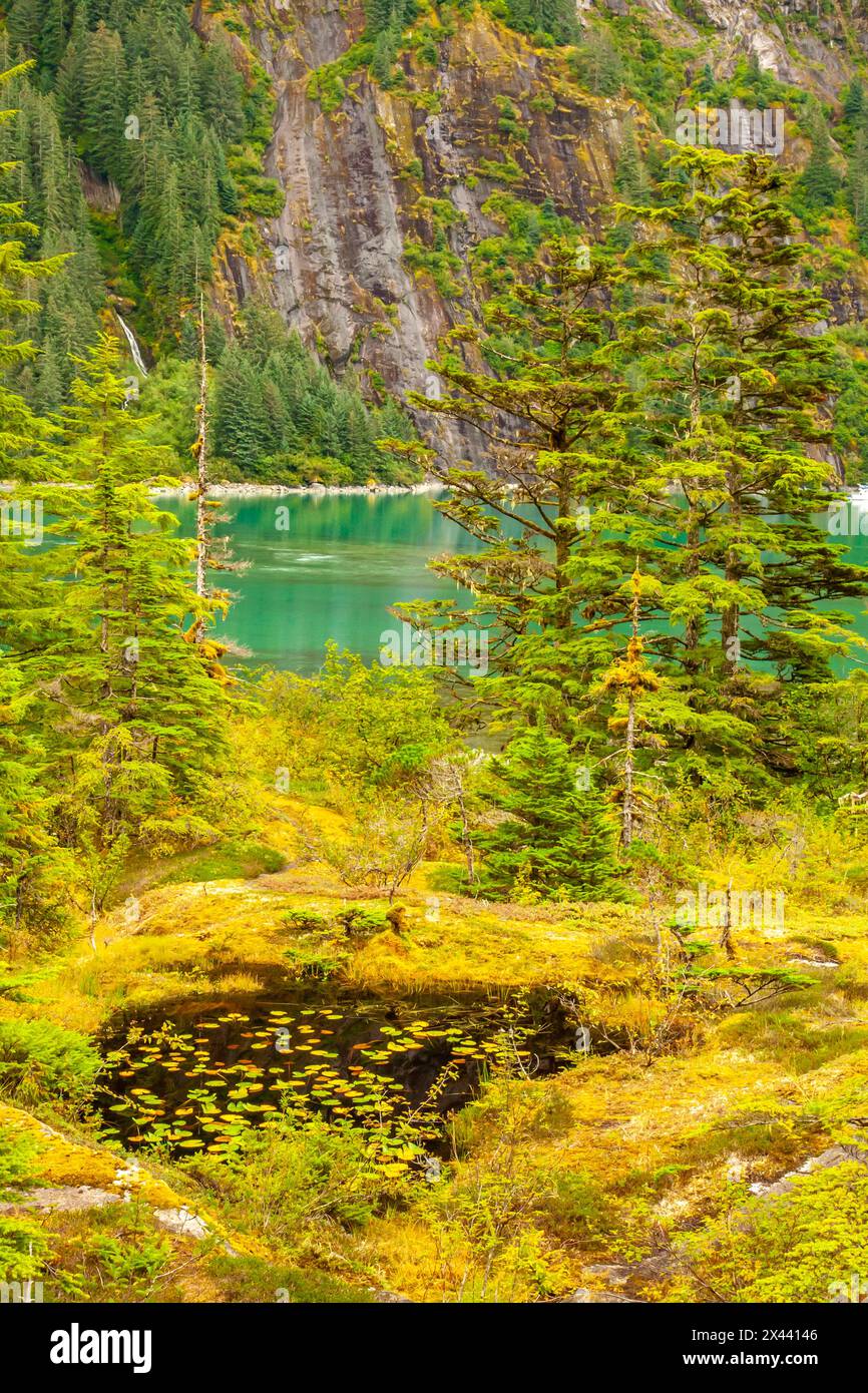 USA, Alaska, Tongass National Forest. Landschaft mit Teich, Bucht und Berg. Stockfoto
