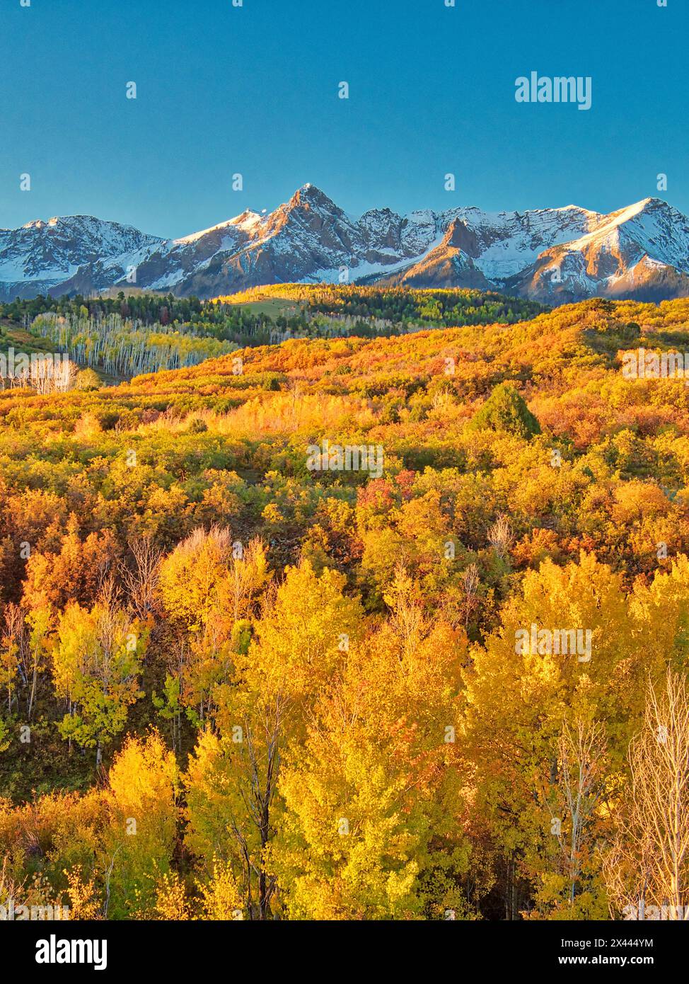 USA, Colorado, Quray. Dallas Divide, Sonnenaufgang auf dem Mt. Snaffles in Herbstfarben Stockfoto