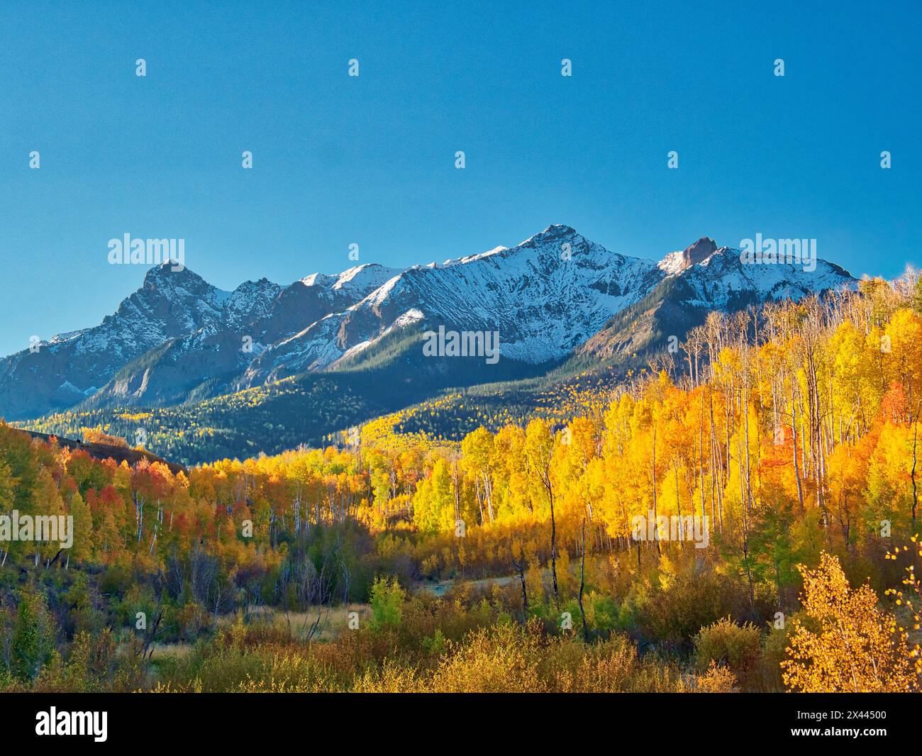 USA, Colorado, Quray. Dallas Divide, Sonnenaufgang auf dem Mt. Snaffles in Herbstfarben Stockfoto