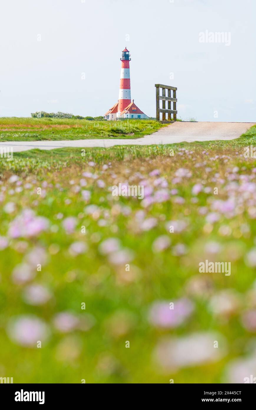 Der Leuchtturm Westerheversand und zwei Hockerhäuser stehen auf einer Terpe auf der Halbinsel Eiderstedt, im vorderirdischen Wanderweg mit Brücke Stockfoto