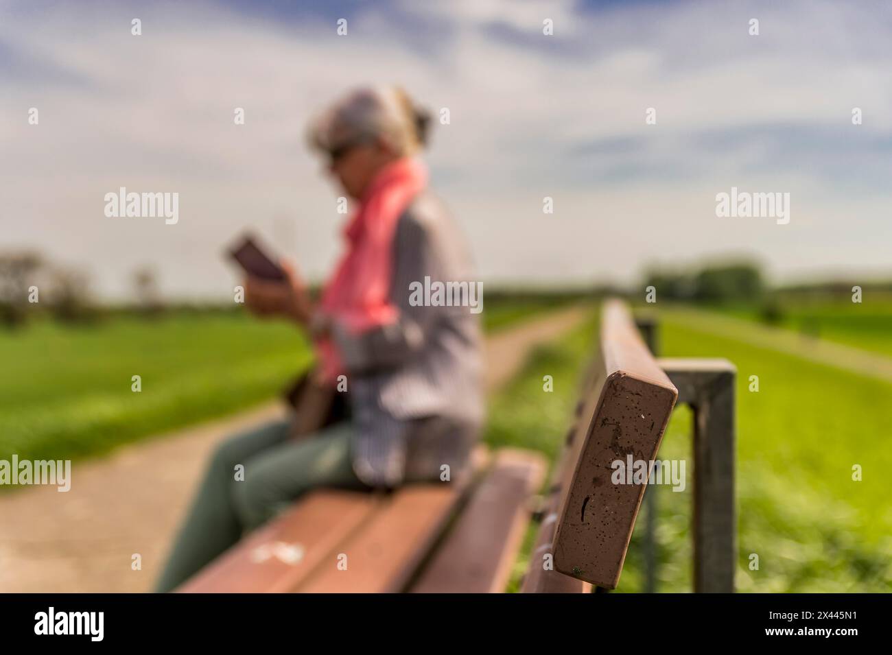 Seniorin sitzt auf einer Bank und schaut auf ihr Smartphone, Seitenansicht, verschwommen, Deichwappen, Rhein, Zons, Nordrhein-Westfalen, Deutschland Stockfoto