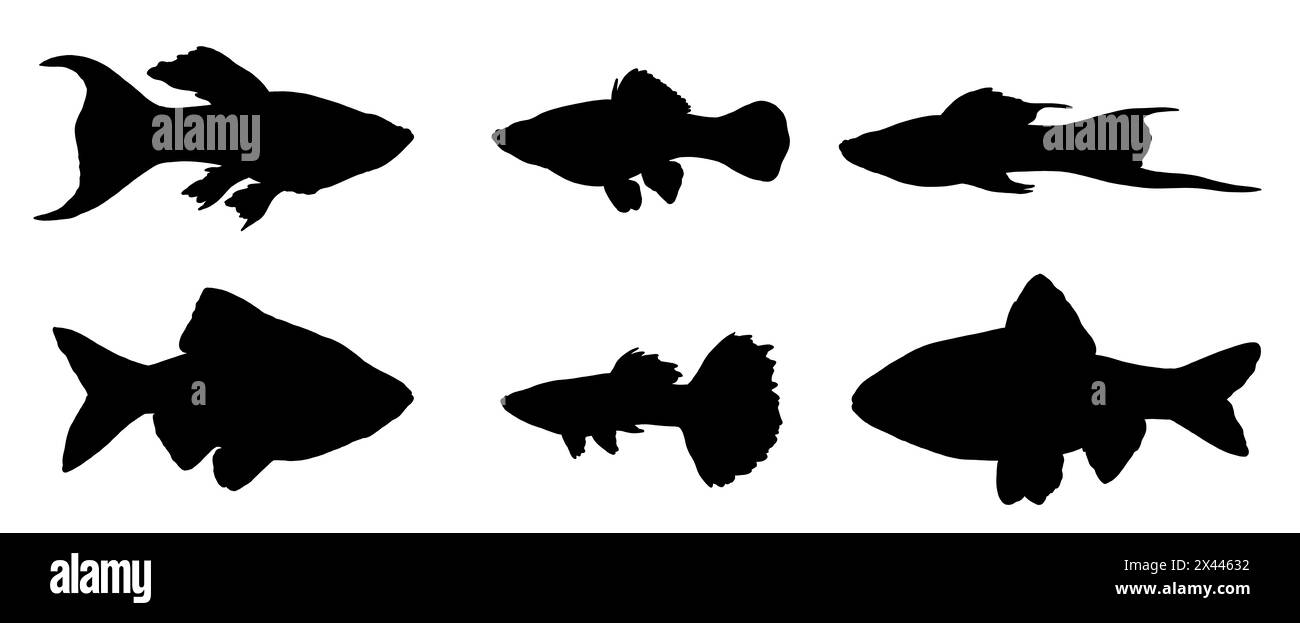 Silhouettenzeichnung mit Aquarienfischen. Illustration mit Guppy, Schwertschwanz, Barb und molly. Stockfoto