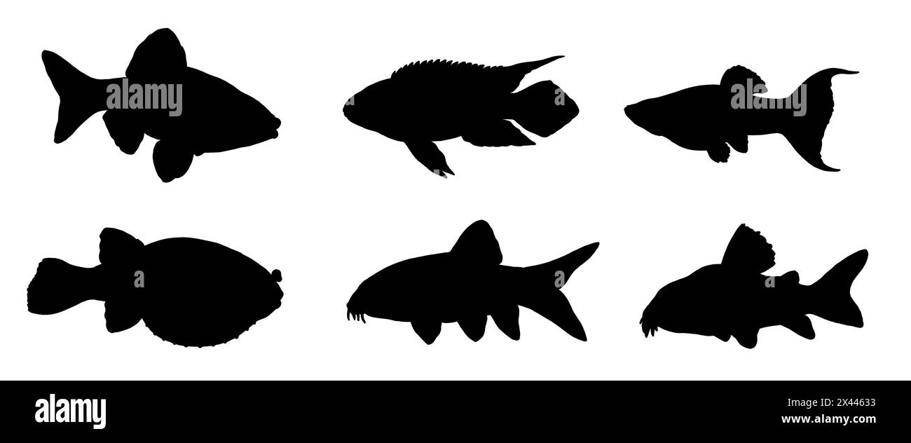 Silhouettenzeichnung mit Aquarienfischen. Illustration mit Kribensis, Tetraodon, Barb, molly, Botia und Wels. Stockfoto