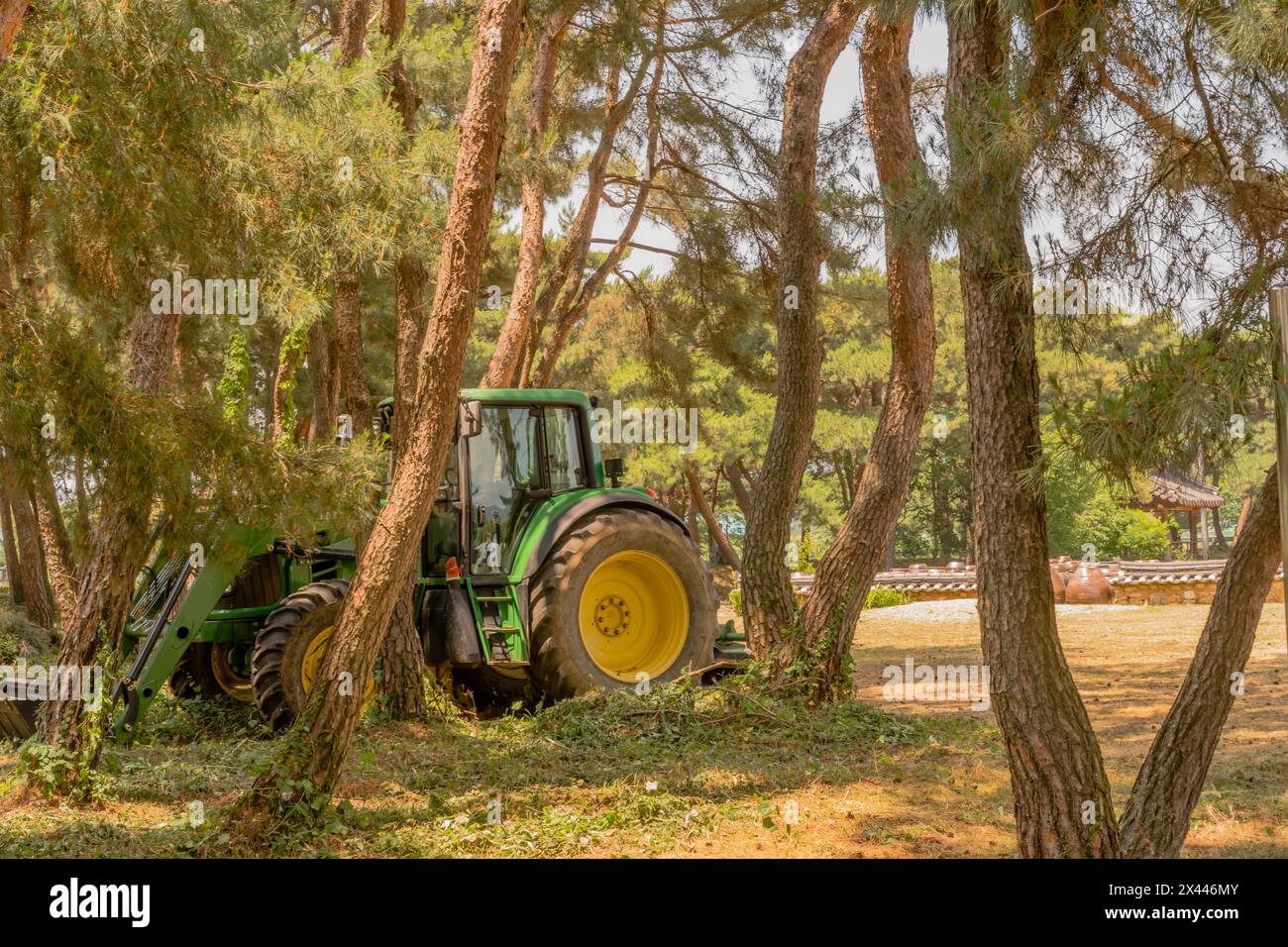 Grüner Traktor mit gelben Rädern, der im Schatten eines Baumhains in Südkorea geparkt ist Stockfoto