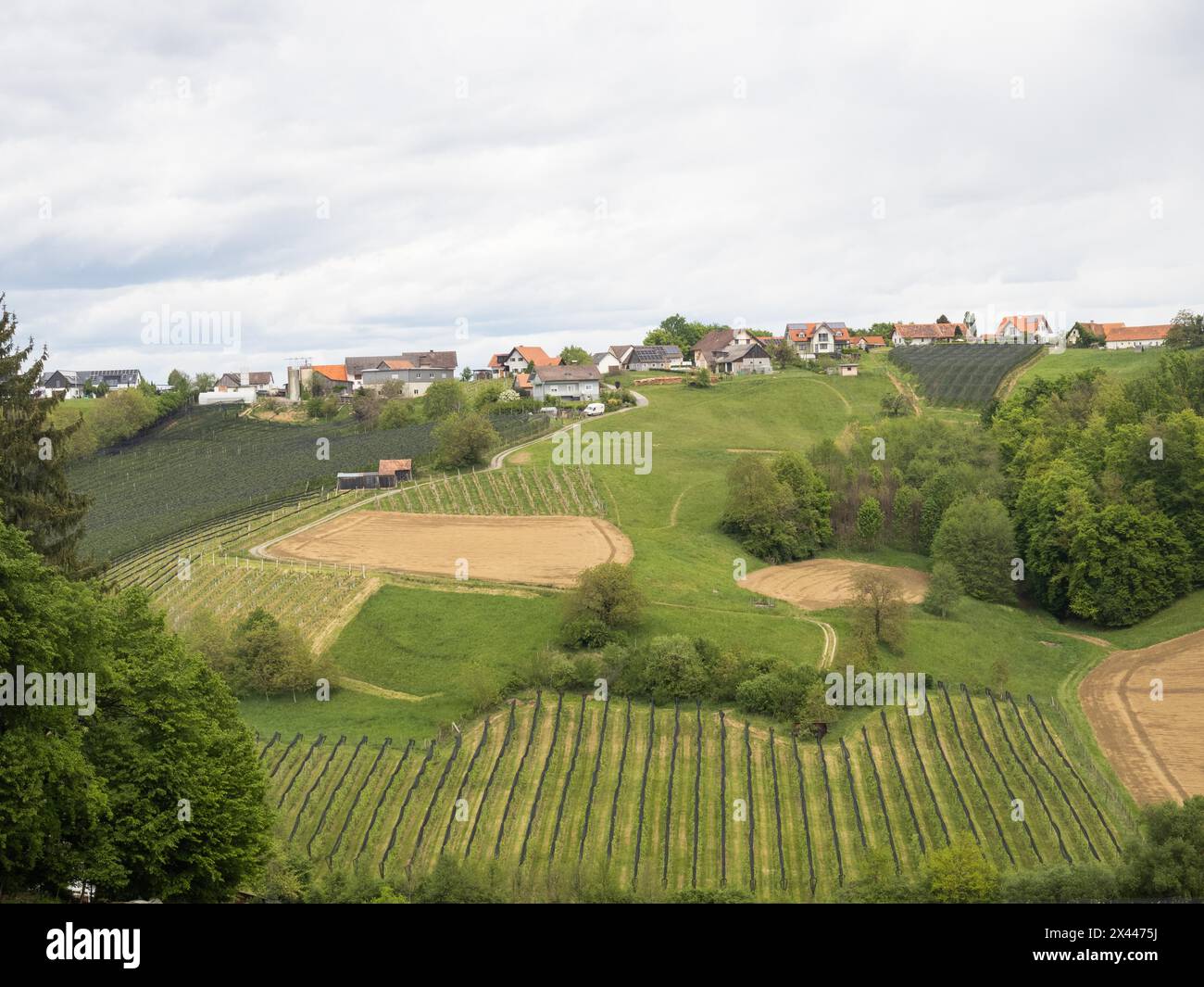 Ackerland und Weinanbaugebiet bei Riegersburg, Steiermark, Österreich Stockfoto
