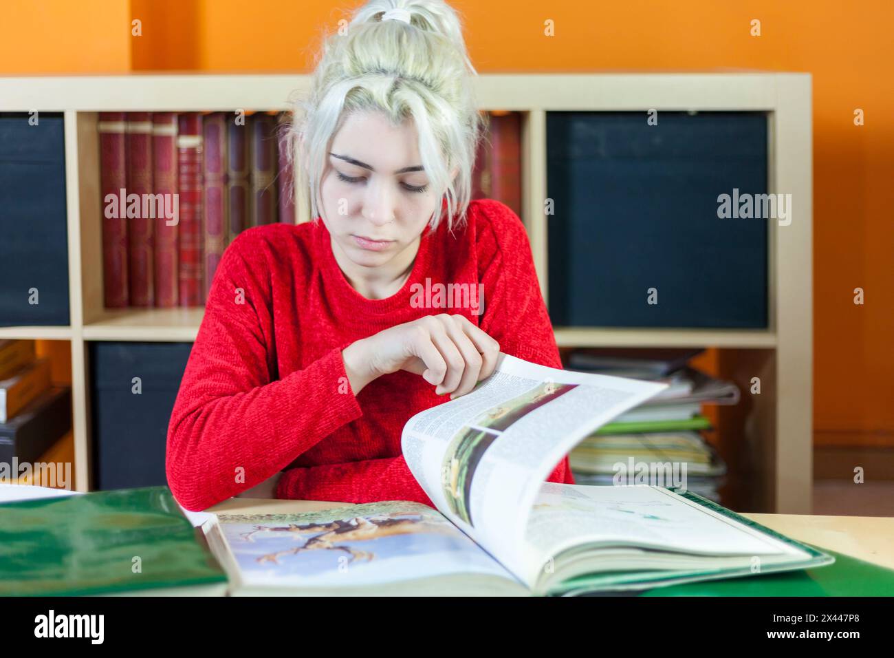 Junge Frau mit gebleichtem blondem Haar, mit Fokus auf Lesen. Rot gekleidet, an einem Bücherpult sitzend, umgeben von Büchern, symbolisiert tiefes Konzentra Stockfoto