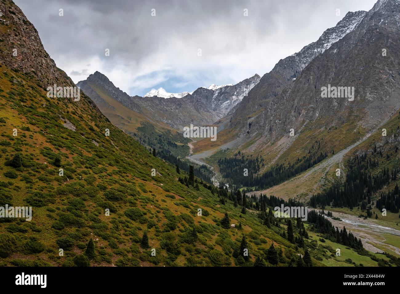 Green Mountain Valley, Chong Kyzyl Suu Valley, Terskey Ala Too, Tien-Shan Mountains, Kirgisistan Stockfoto