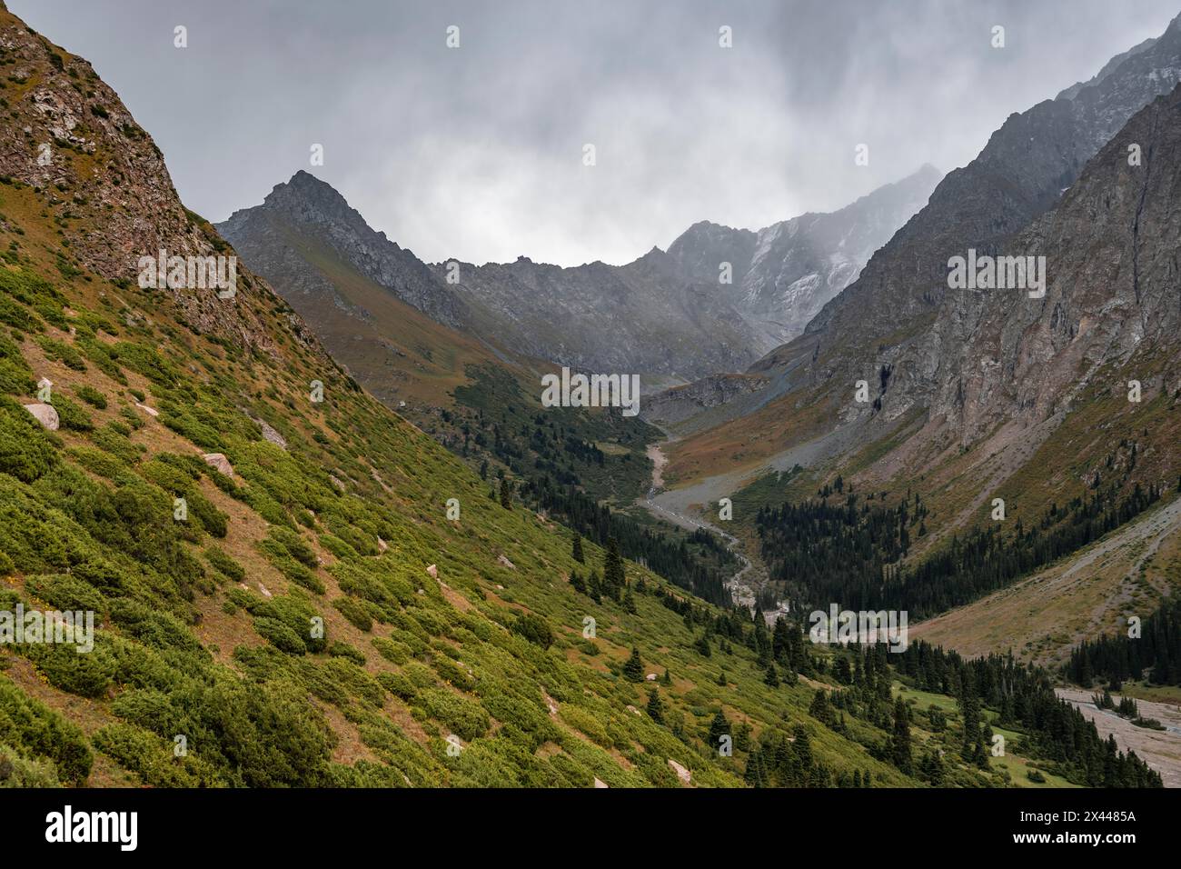 Green Mountain Valley, Chong Kyzyl Suu Valley, Terskey Ala Too, Tien-Shan Mountains, Kirgisistan Stockfoto