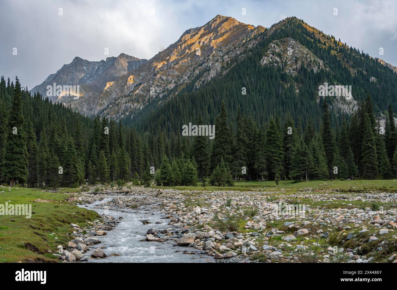 Grünes Bergtal mit Fluss und steilen Berggipfeln, Chong Kyzyl Suu Valley, Terskey Ala too, Tien-Shan Mountains, Kirgisistan Stockfoto